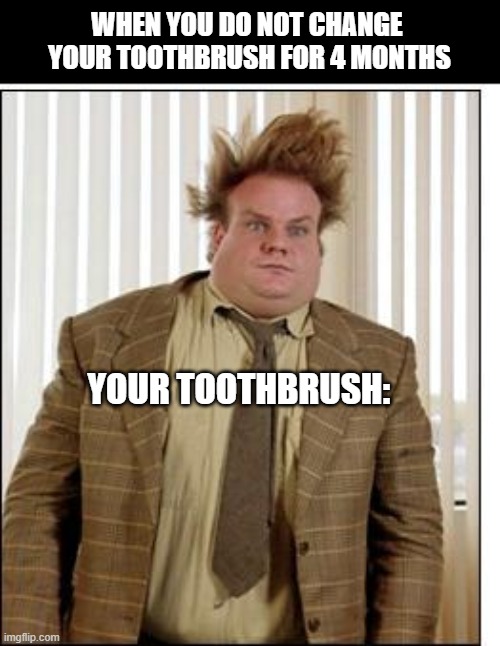 tooth brush meme | WHEN YOU DO NOT CHANGE 
YOUR TOOTHBRUSH FOR 4 MONTHS; YOUR TOOTHBRUSH: | image tagged in chris farley hair | made w/ Imgflip meme maker