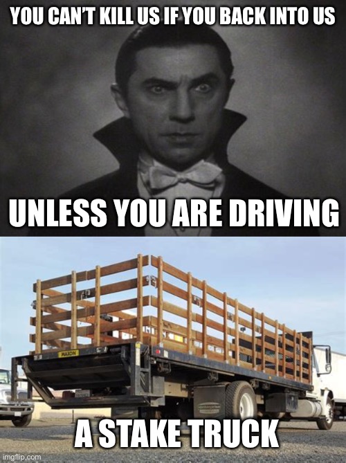 YOU CAN’T KILL US IF YOU BACK INTO US UNLESS YOU ARE DRIVING A STAKE TRUCK | image tagged in og vampire | made w/ Imgflip meme maker