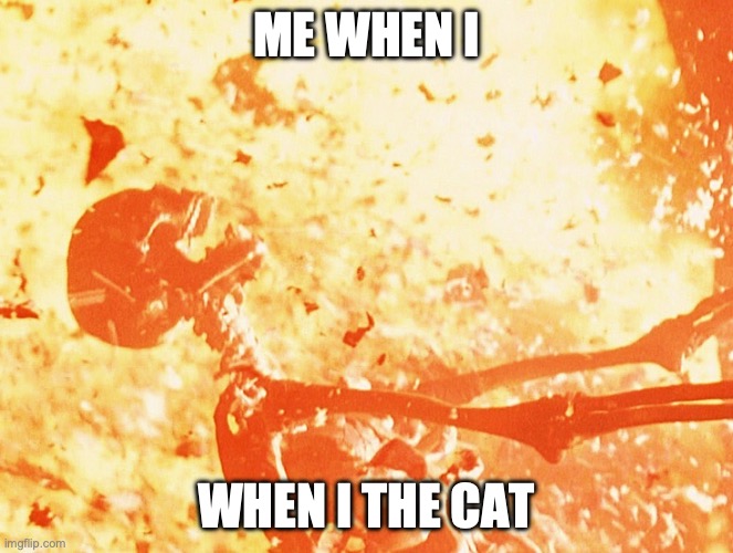 Fire skeleton | ME WHEN I WHEN I THE CAT | image tagged in fire skeleton | made w/ Imgflip meme maker