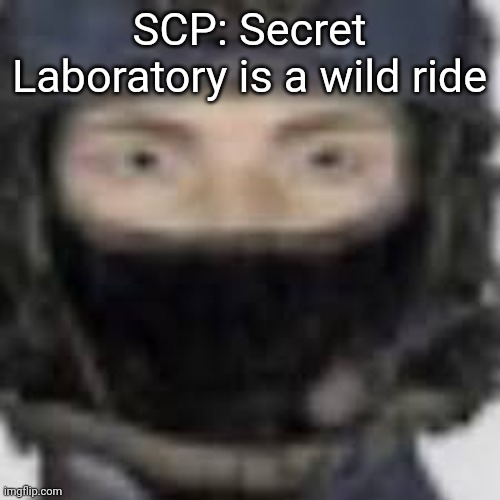 Epsilon-11 staring | SCP: Secret Laboratory is a wild ride | image tagged in epsilon-11 staring | made w/ Imgflip meme maker