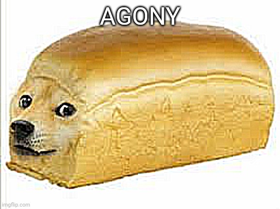 AGONY | AGONY | image tagged in doge bread | made w/ Imgflip meme maker