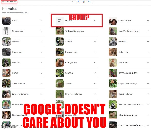 Big Tech Corruption | GOOGLE DOESN'T CARE ABOUT YOU | image tagged in memes,humor,funny,google,nsfw,share | made w/ Imgflip meme maker