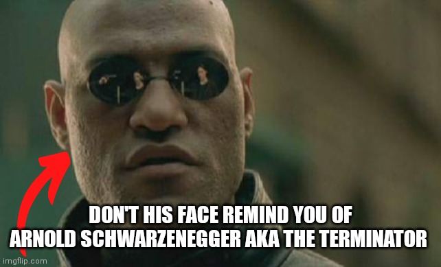 This reminds me of him for some reason | DON'T HIS FACE REMIND YOU OF ARNOLD SCHWARZENEGGER AKA THE TERMINATOR | image tagged in memes,matrix morpheus,funny memes,arnold schwarzenegger,matrix,terminator | made w/ Imgflip meme maker