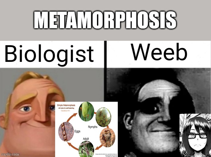 Science is the best subject | METAMORPHOSIS; Weeb; Biologist | made w/ Imgflip meme maker
