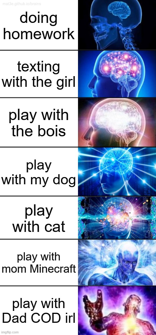 (no title) | doing homework; texting with the girl; play with the bois; play with my dog; play with cat; play with mom Minecraft; play with Dad COD irl | image tagged in 7-tier expanding brain | made w/ Imgflip meme maker