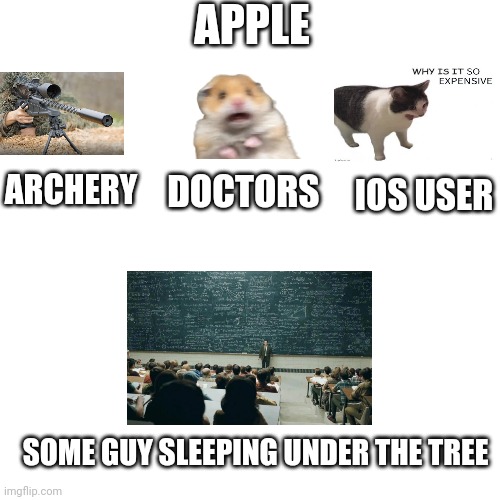 I hate physics and some guys sleeping under the tree | APPLE; DOCTORS; ARCHERY; IOS USER; SOME GUY SLEEPING UNDER THE TREE | image tagged in apple | made w/ Imgflip meme maker