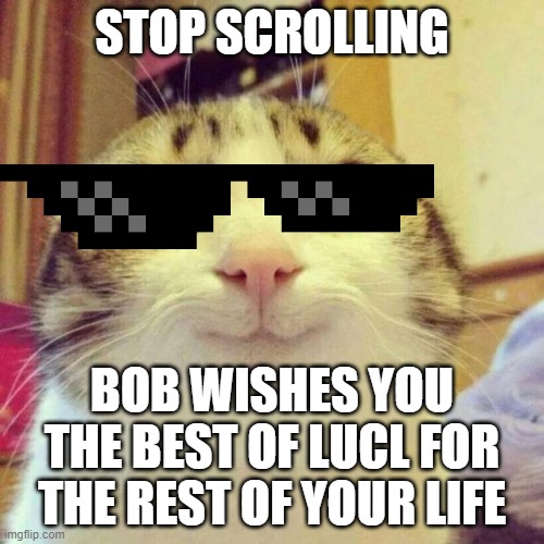 BOB... | STOP SCROLLING; BOB WISHES YOU THE BEST OF LUCL FOR THE REST OF YOUR LIFE | image tagged in memes,smiling cat | made w/ Imgflip meme maker