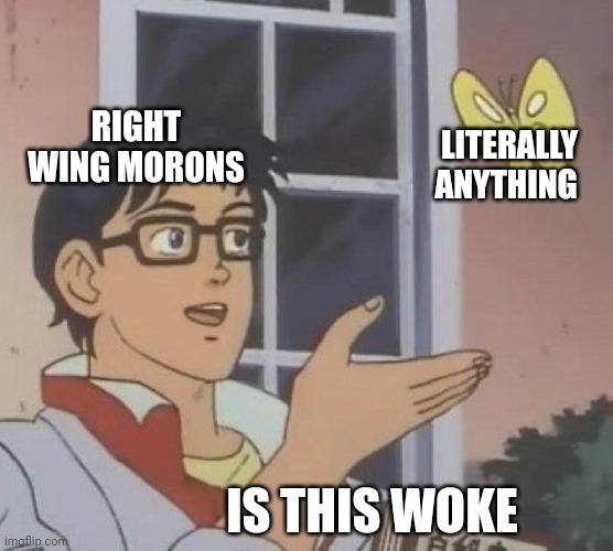 Woke | RIGHT WING MORONS; LITERALLY ANYTHING; IS THIS WOKE | image tagged in is this butterfly | made w/ Imgflip meme maker