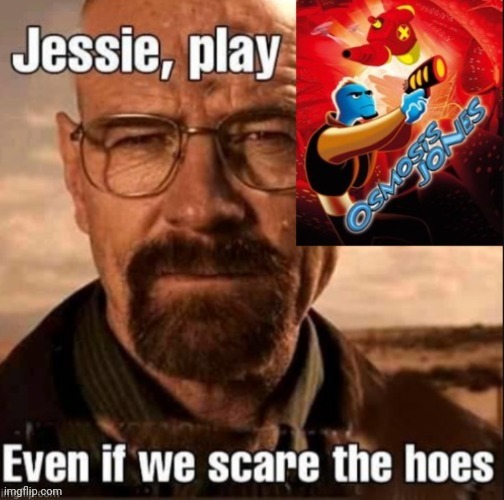We don't give a frick if we scare the hoes | image tagged in hoes scared | made w/ Imgflip meme maker
