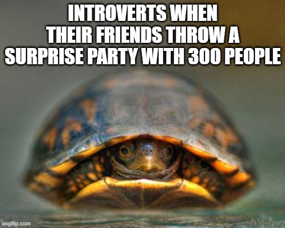 introverts | INTROVERTS WHEN THEIR FRIENDS THROW A SURPRISE PARTY WITH 300 PEOPLE | image tagged in introverts | made w/ Imgflip meme maker