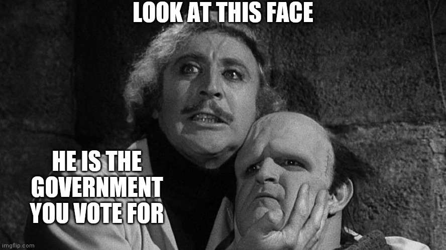 LOOK AT THIS FACE HE IS THE GOVERNMENT YOU VOTE FOR | made w/ Imgflip meme maker