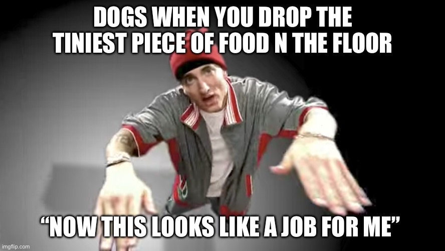 Fr | DOGS WHEN YOU DROP THE TINIEST PIECE OF FOOD N THE FLOOR; “NOW THIS LOOKS LIKE A JOB FOR ME” | image tagged in now this looks like a job for me eminem | made w/ Imgflip meme maker