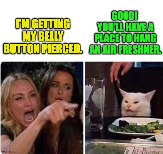 Pierced | GOOD!  YOU'LL HAVE A PLACE TO HANG AN AIR FRESHNER. I'M GETTING MY BELLY BUTTON PIERCED. | image tagged in lady screams at cat | made w/ Imgflip meme maker