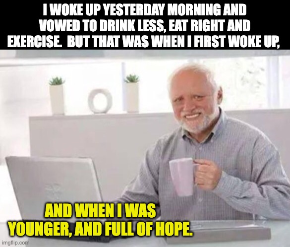 Vows | I WOKE UP YESTERDAY MORNING AND VOWED TO DRINK LESS, EAT RIGHT AND EXERCISE.  BUT THAT WAS WHEN I FIRST WOKE UP, AND WHEN I WAS YOUNGER, AND FULL OF HOPE. | image tagged in harold | made w/ Imgflip meme maker