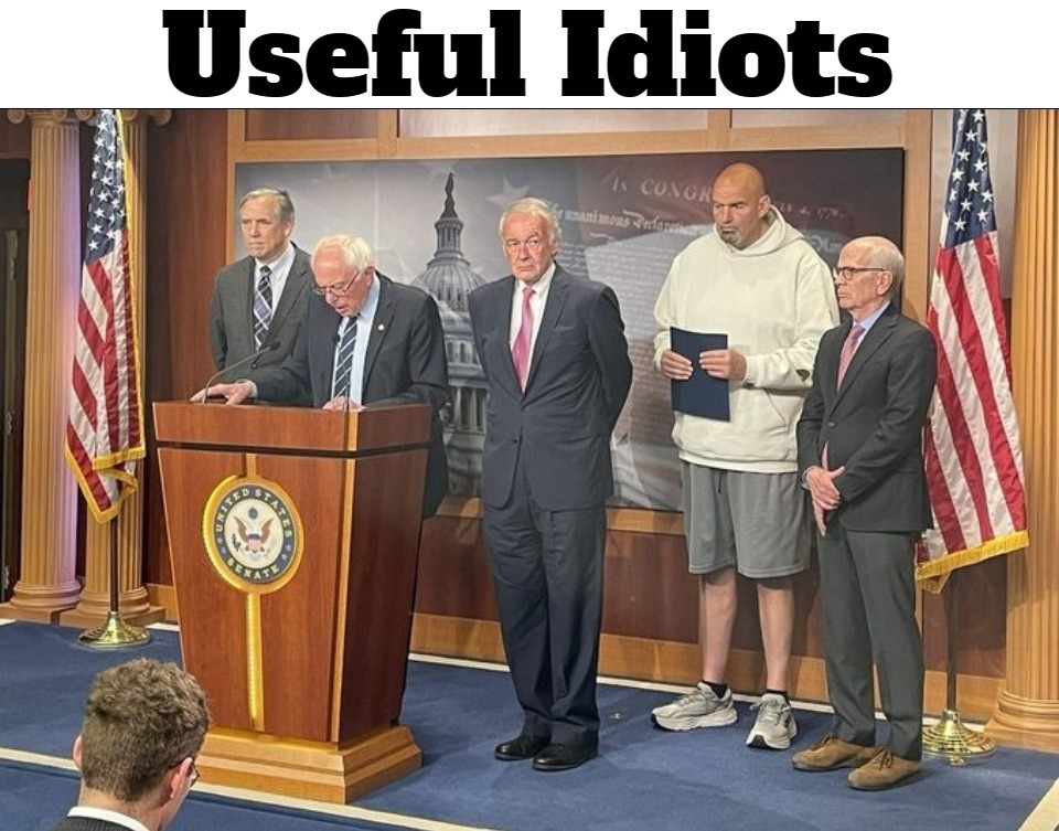 Useful Idiots | image tagged in i'm surrounded by idiots,useful idiots,special kind of stupid,stupid liberals,full retard,never go full retard | made w/ Imgflip meme maker