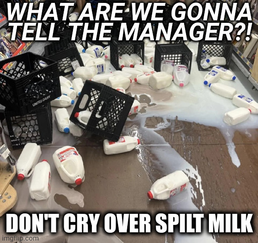 managers usually cry over imagined threats to power and inconsequential nonsense | WHAT ARE WE GONNA TELL THE MANAGER?! DON'T CRY OVER SPILT MILK | image tagged in memes | made w/ Imgflip meme maker