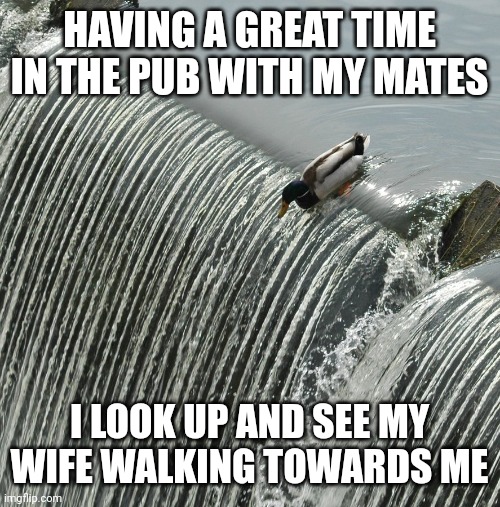 Duck over waterfall | HAVING A GREAT TIME IN THE PUB WITH MY MATES; I LOOK UP AND SEE MY WIFE WALKING TOWARDS ME | image tagged in duck over waterfall | made w/ Imgflip meme maker