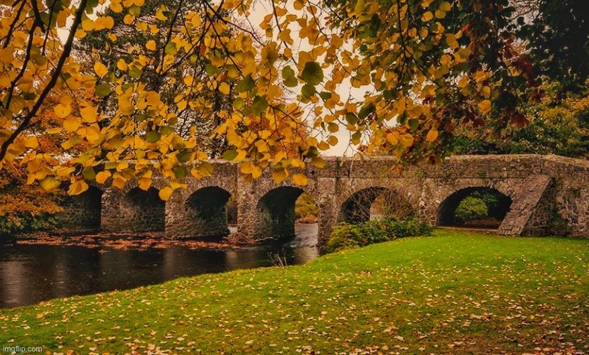 Autumn leaves | image tagged in autumn in the park,leaves,river,bridge | made w/ Imgflip meme maker