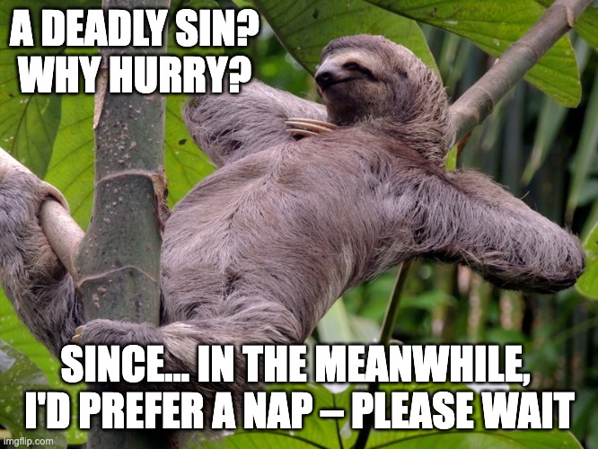 Lazy Sloth | A DEADLY SIN?
WHY HURRY? SINCE... IN THE MEANWHILE, 
I'D PREFER A NAP – PLEASE WAIT | image tagged in lazy sloth | made w/ Imgflip meme maker