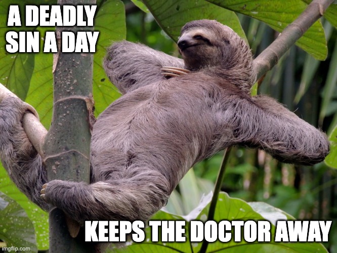 Lazy Sloth | A DEADLY SIN A DAY; KEEPS THE DOCTOR AWAY | image tagged in lazy sloth | made w/ Imgflip meme maker