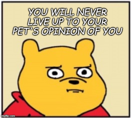 Demotivational Pooh | YOU WILL NEVER LIVE UP TO YOUR PET'S OPINION OF YOU | image tagged in pooh bear | made w/ Imgflip meme maker