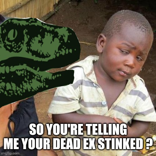 SO YOU'RE TELLING ME YOUR DEAD EX STINKED ? | made w/ Imgflip meme maker