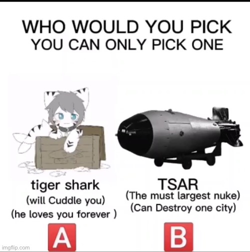 B | image tagged in b | made w/ Imgflip meme maker