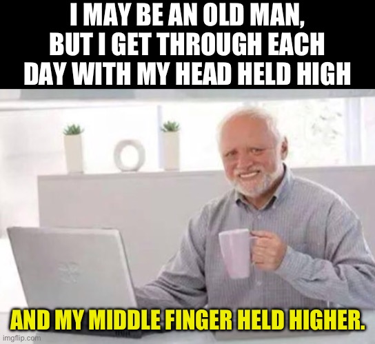 Old age | I MAY BE AN OLD MAN, BUT I GET THROUGH EACH DAY WITH MY HEAD HELD HIGH; AND MY MIDDLE FINGER HELD HIGHER. | image tagged in harold | made w/ Imgflip meme maker
