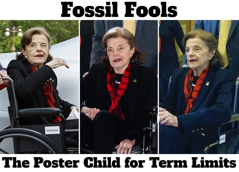 Fossil Fools: The Poster Child for Term Limits | image tagged in dianne feinstein,poster child,term limits,fossil fools,dementia,ancient aliens | made w/ Imgflip meme maker