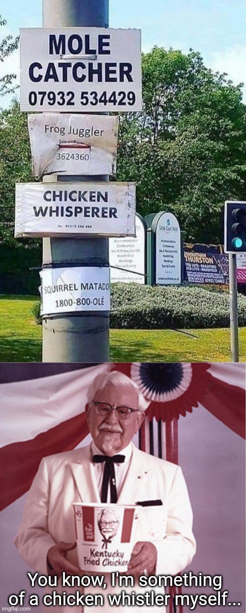 Whistling chicken | You know, I'm something of a chicken whistler myself... | image tagged in kfc colonel sanders,chicken,whistler,fried chicken,funny signs | made w/ Imgflip meme maker