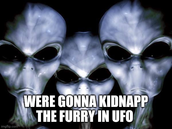 grey aliens | WERE GONNA KIDNAPP THE FURRY IN UFO | image tagged in grey aliens | made w/ Imgflip meme maker