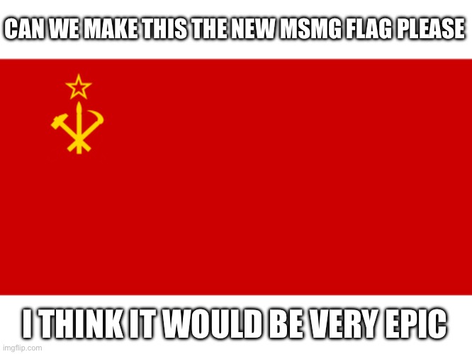 CAN WE MAKE THIS THE NEW MSMG FLAG PLEASE; I THINK IT WOULD BE VERY EPIC | made w/ Imgflip meme maker