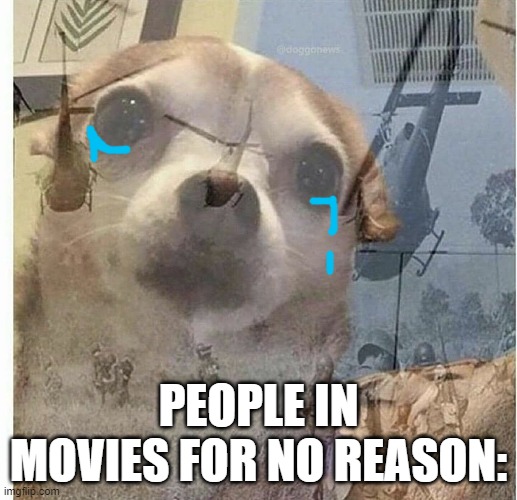 why? | PEOPLE IN MOVIES FOR NO REASON: | image tagged in ptsd chihuahua | made w/ Imgflip meme maker