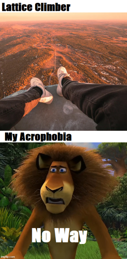 Alex the lion | image tagged in alex the lion | made w/ Imgflip meme maker