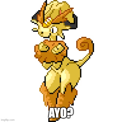 meowth + lopunny | AYO? | image tagged in lol,pokemon,fusions | made w/ Imgflip meme maker
