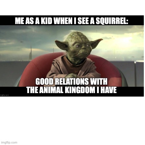 Finally uploading old memes #7 | image tagged in star wars yoda | made w/ Imgflip meme maker