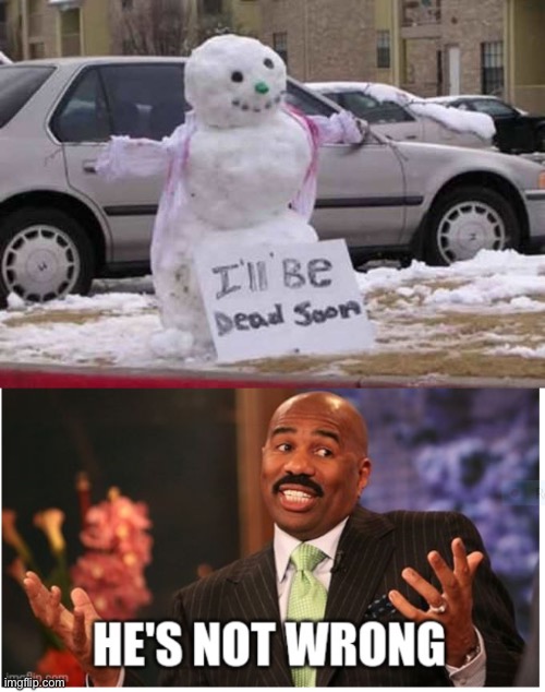 Meme #1,374 | image tagged in well he's not 'wrong',snowman,cursed image,cursed,memes,snow | made w/ Imgflip meme maker