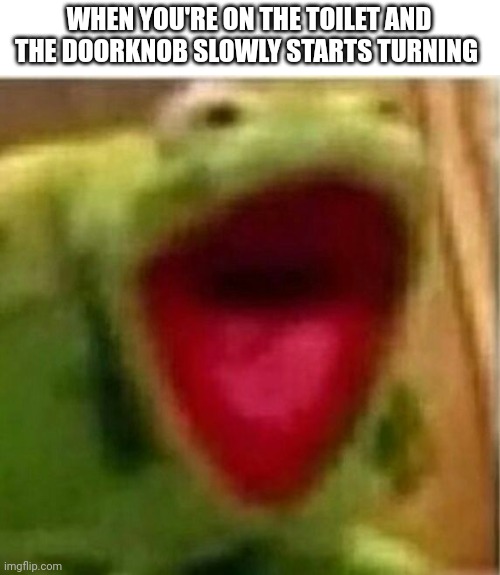 the true fear of man | WHEN YOU'RE ON THE TOILET AND THE DOORKNOB SLOWLY STARTS TURNING | image tagged in ahhhhhhhhhhhhh | made w/ Imgflip meme maker