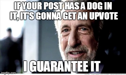 I Guarantee It | IF YOUR POST HAS A DOG IN IT, IT'S GONNA GET AN UPVOTE I GUARANTEE IT | image tagged in memes,i guarantee it,AdviceAnimals | made w/ Imgflip meme maker