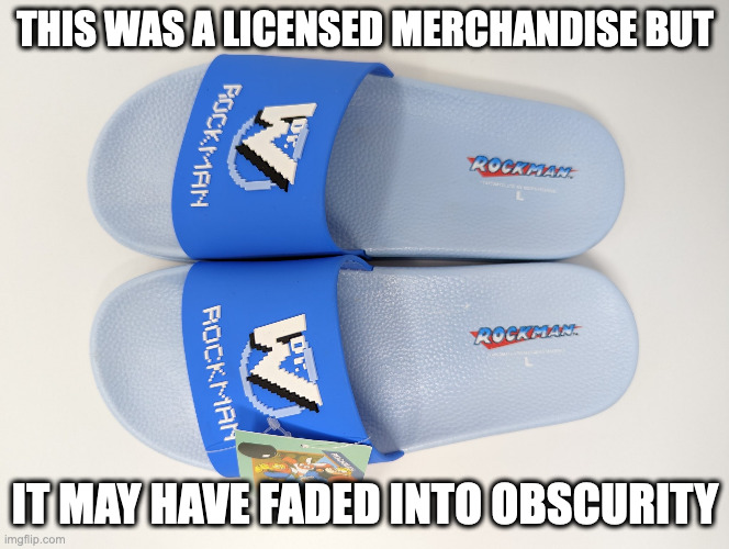 Mega Man Slippers | THIS WAS A LICENSED MERCHANDISE BUT; IT MAY HAVE FADED INTO OBSCURITY | image tagged in megaman,memes | made w/ Imgflip meme maker