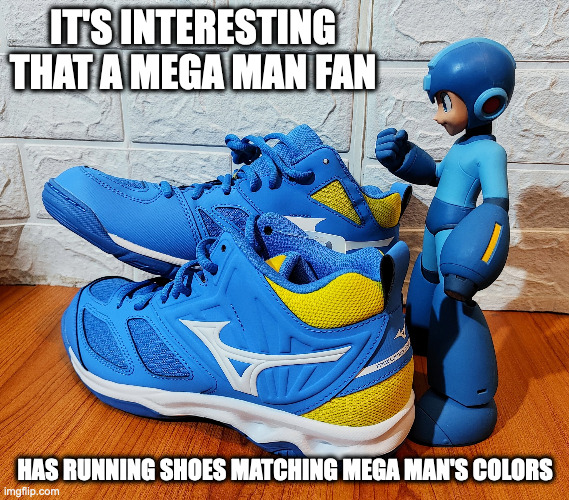 Running Shoes With Matching Colors | IT'S INTERESTING THAT A MEGA MAN FAN; HAS RUNNING SHOES MATCHING MEGA MAN'S COLORS | image tagged in shoes,megaman,memes | made w/ Imgflip meme maker