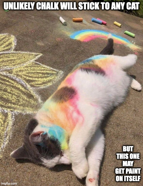 Rainbow Cat | UNLIKELY CHALK WILL STICK TO ANY CAT; BUT THIS ONE MAY GET PAINT ON ITSELF | image tagged in cats,memes | made w/ Imgflip meme maker