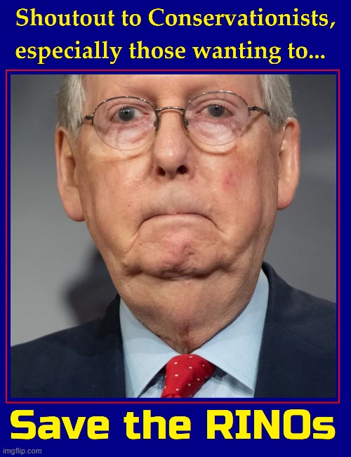 He did save from a lifetime of Merrick Garland | image tagged in vince vance,mitch mcconnell,liberals,republicans,rinos,memes | made w/ Imgflip meme maker
