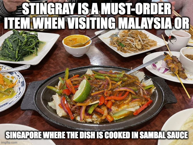 Stingray | STINGRAY IS A MUST-ORDER ITEM WHEN VISITING MALAYSIA OR; SINGAPORE WHERE THE DISH IS COOKED IN SAMBAL SAUCE | image tagged in food,memes | made w/ Imgflip meme maker