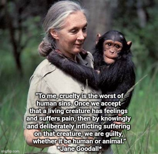Cruelty to Animals | “To me, cruelty is the worst of
human sins. Once we accept 
that a living creature has feelings 
and suffers pain, then by knowingly 
and deliberately inflicting suffering 
on that creature, we are guilty, 
whether it be human or animal.”
*Jane Goodall* | image tagged in animals,compassion | made w/ Imgflip meme maker