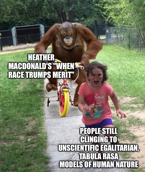 Orangutan chasing girl on a tricycle | HEATHER MACDONALD'S "WHEN RACE TRUMPS MERIT"; PEOPLE STILL CLINGING TO UNSCIENTIFIC EGALITARIAN, TABULA RASA MODELS OF HUMAN NATURE | image tagged in orangutan chasing girl on a tricycle | made w/ Imgflip meme maker