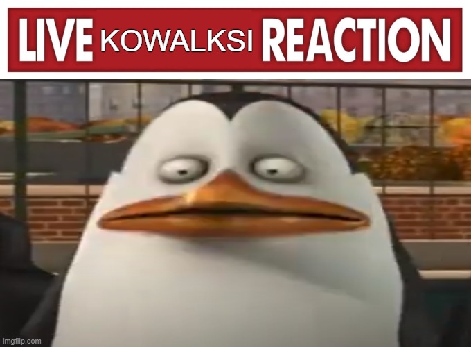 What an Idiot | KOWALKSI | image tagged in penguins of madagascar,madagascar,dreamworks | made w/ Imgflip meme maker