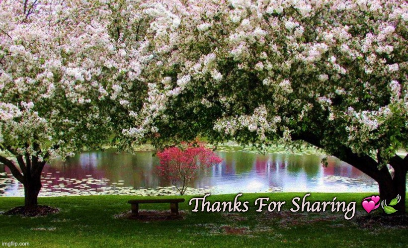 Thanks For Sharing ?? | Thanks For Sharing 💞🍃 | image tagged in thanks for sharing | made w/ Imgflip meme maker