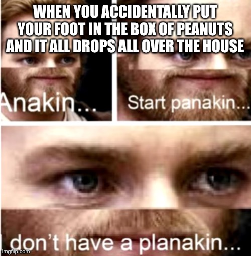 Oh no I’ll get grounded | WHEN YOU ACCIDENTALLY PUT YOUR FOOT IN THE BOX OF PEANUTS AND IT ALL DROPS ALL OVER THE HOUSE | image tagged in anakin start panakin | made w/ Imgflip meme maker
