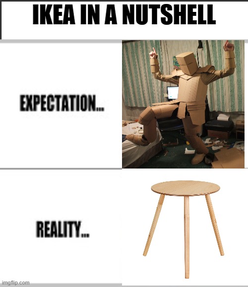 WHY WONT THEY SELL ME WOODEN ARMOR ARGHHHHHHHH | IKEA IN A NUTSHELL | image tagged in expectation vs reality,ikea,certified swedish meme | made w/ Imgflip meme maker